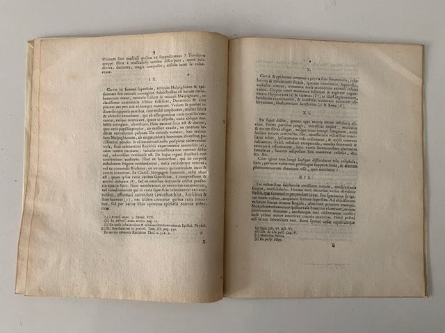 Franciscus Lescure : De Vulneribus cum Amissa Substantia. Theses Anatomomico-Chirurgicae