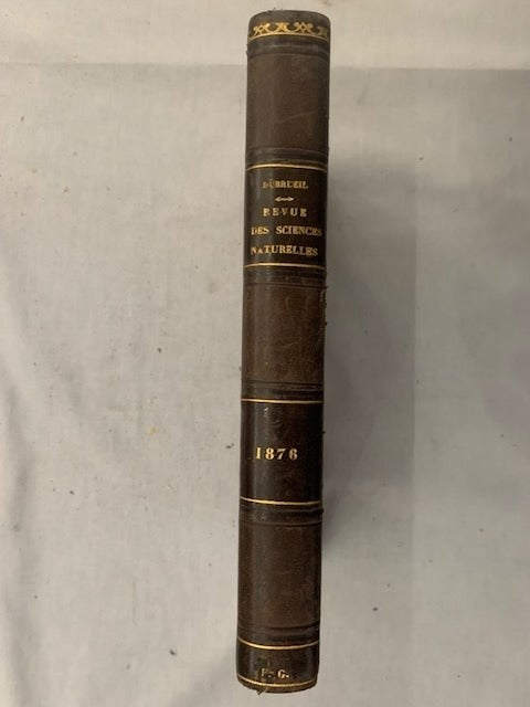 E. Dubreuil : Revue des Sciences Naturelles. Tome V. No. 1. 15 Juin 1876