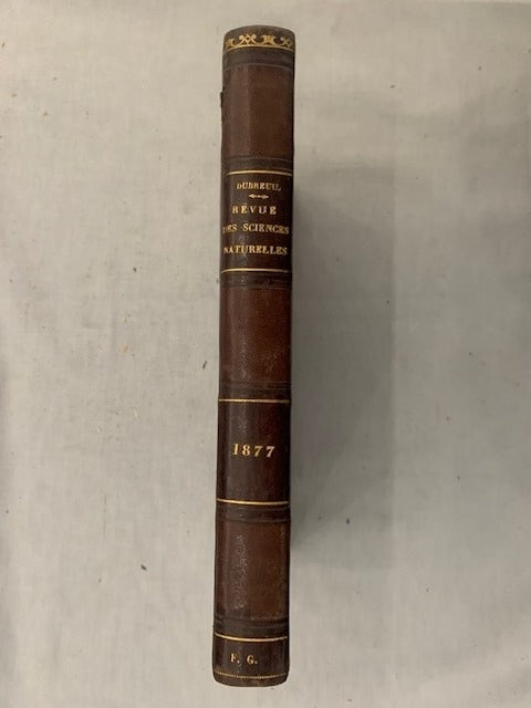 E. Dubreuil : Revue des Sciences Naturelles. Tome VI. No. 1. 15 Juin 1877