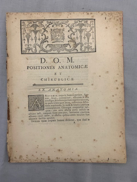Antonius Antonius‎ : Ex Anatomia. D.O.M. Positiones Anatomicae et Chirurgicae
