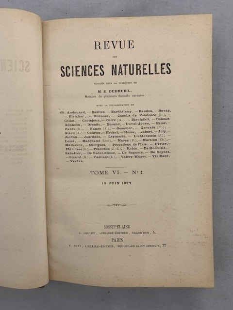E. Dubreuil : Revue des Sciences Naturelles. Tome VI. No. 1. 15 Juin 1877