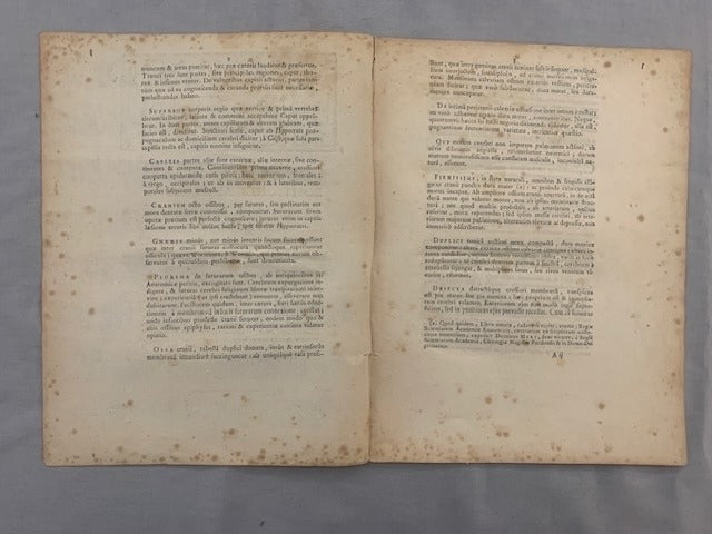 Antonius Antonius‎ : Ex Anatomia. D.O.M. Positiones Anatomicae et Chirurgicae