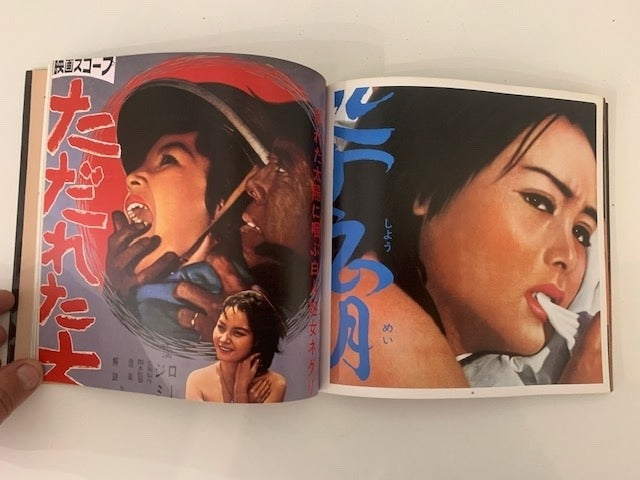 Kyoichi Tsuzuki (ed.) : Generation Sex (Japanese "Pink" Movie posters). Street Design File 06
