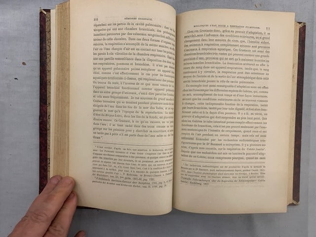 E. Dubreuil : Revue des Sciences Naturelles. Tome IV. No. 1. 15 Juin 1875