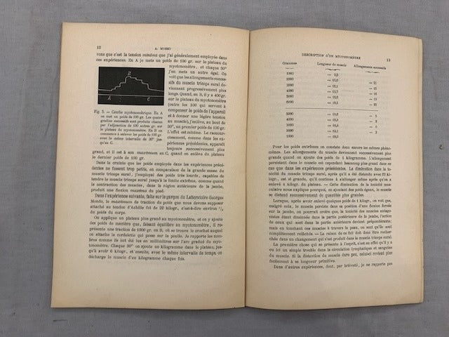 A. ‎Mosso : Description d'un Myotonomètre pour étudier la Tonicité des Muscles chez l'Homme (Archives Italiennes de Biologie  t. XXV  fasc. III