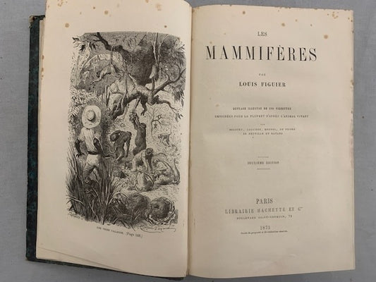 Louis Figuier : Les Mammifères