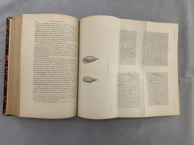 E. Dubreuil et E. Heckel : Revue des Sciences Naturelles. Tome I. No. 1. 1er Juin 1872