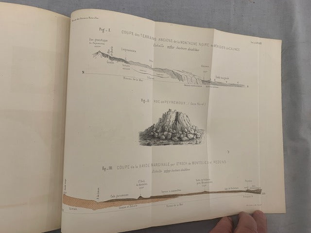 E. Dubreuil et E. Heckel : Revue des Sciences Naturelles. Tome I. No. 1. 1er Juin 1872