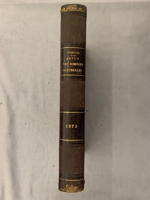 E. Dubreuil : Revue des Sciences Naturelles. Tome IV. No. 1. 15 Juin 1875